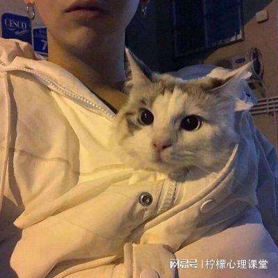 热血武侠ol手游